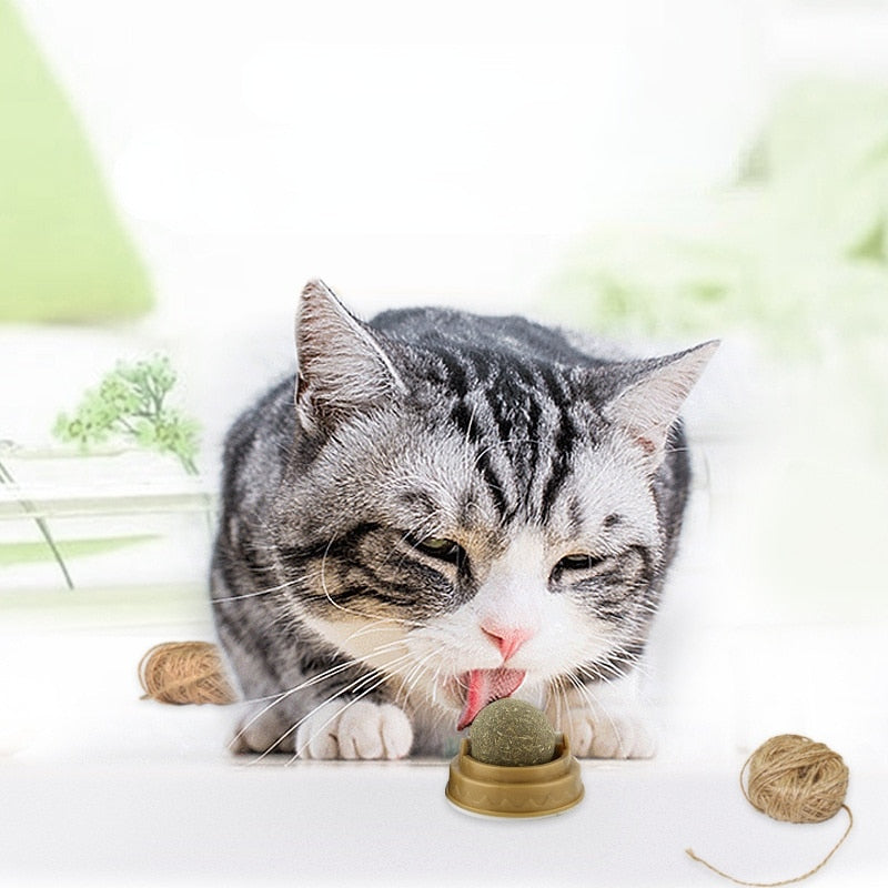 1PC Natural Catnip Cat Wall Stick-on Ball Toy Treats Healthy Natural Removes Hair Balls to Promote Digestion Cat Grass Snack Pet