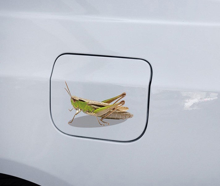 Car fuel tank cover stickers creative 3d insect stereo car stickers personality scratches cover decorative stickers