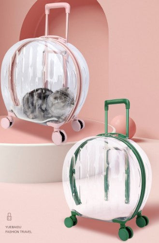 Transparent cat trolley case cat bag pet dog go out portable travel breathable bubble box portable large capacity