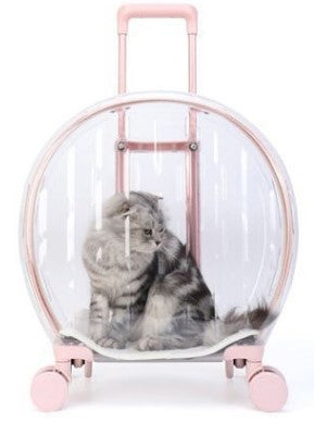 Transparent cat trolley case cat bag pet dog go out portable travel breathable bubble box portable large capacity