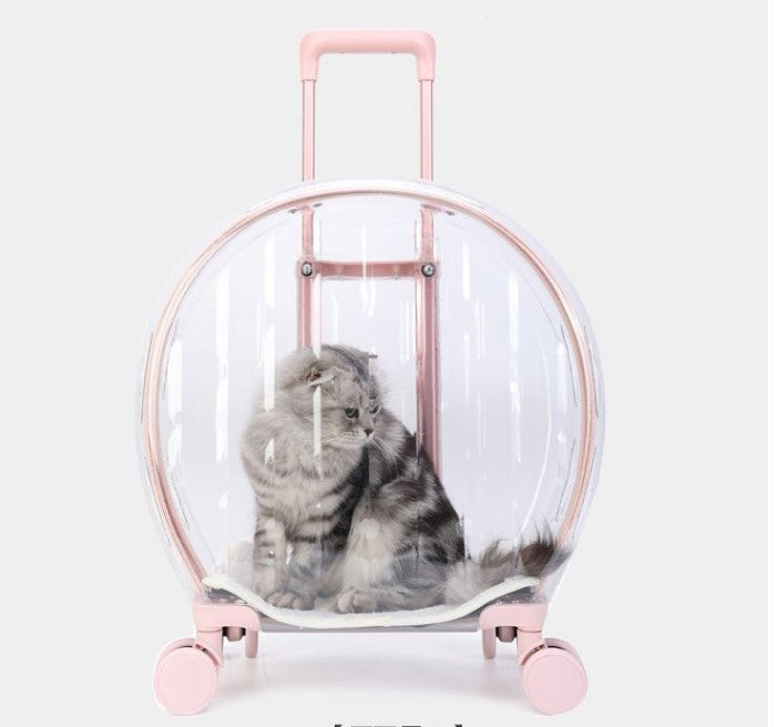 Transparent cat trolley case cat bag pet dog go out portable travel breathable bubble box portable large capacity